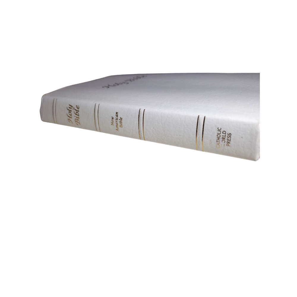 Holy Bible - Picture 9 of 11